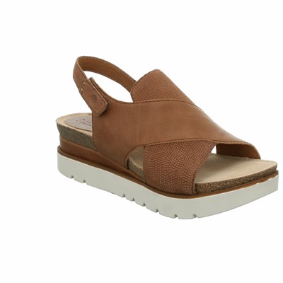 Brown Josef Seibel Clea 05 Women's Sandals | YHIZ10389