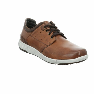 Brown Josef Seibel Enrico 13 Men's Sneakers | XZKW46578
